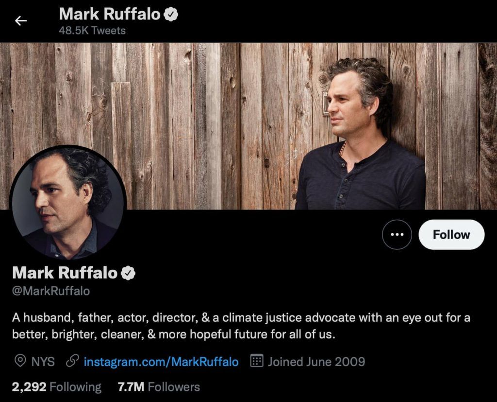 Use good bio to Get Twitter Followers Fast