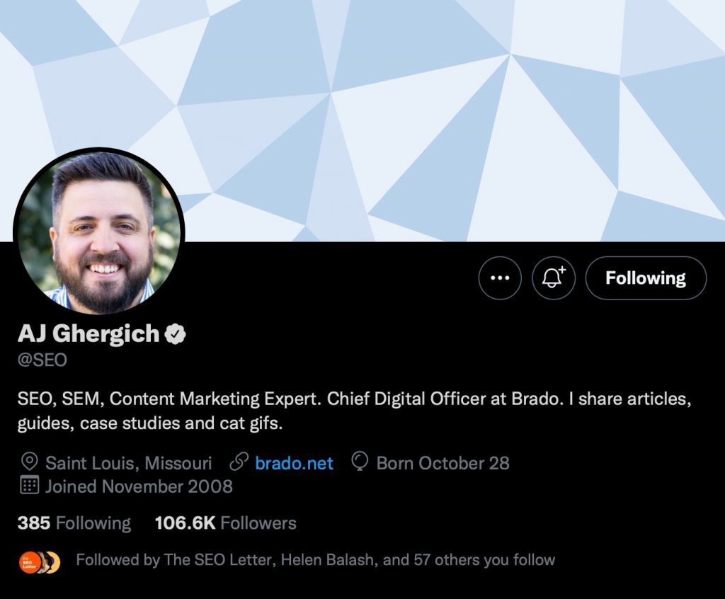 Optimize the Twitter Bio