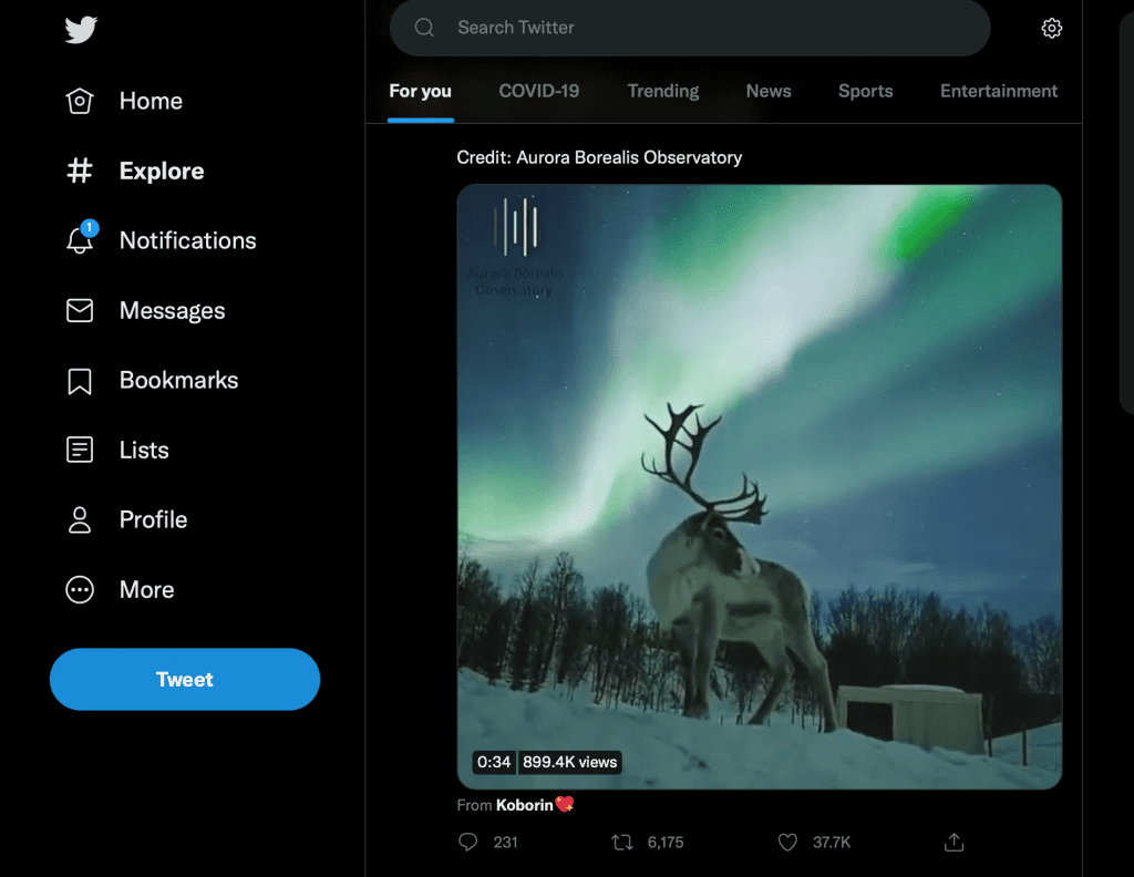 How to Save Gifs from Twitter